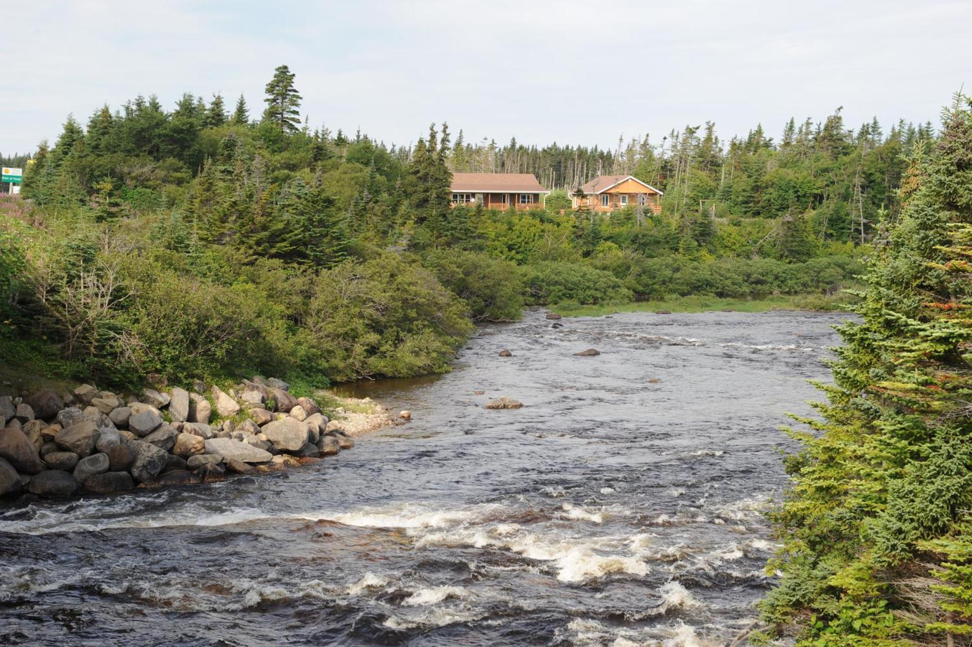Riverside Chalets River of Ponds Exterior foto
